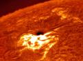 sunspot4.jpg